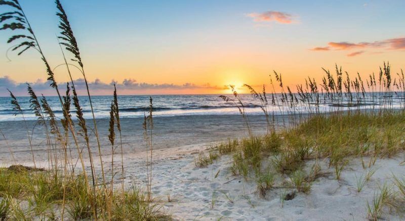 amelia island mejores playas florida e1687688321989