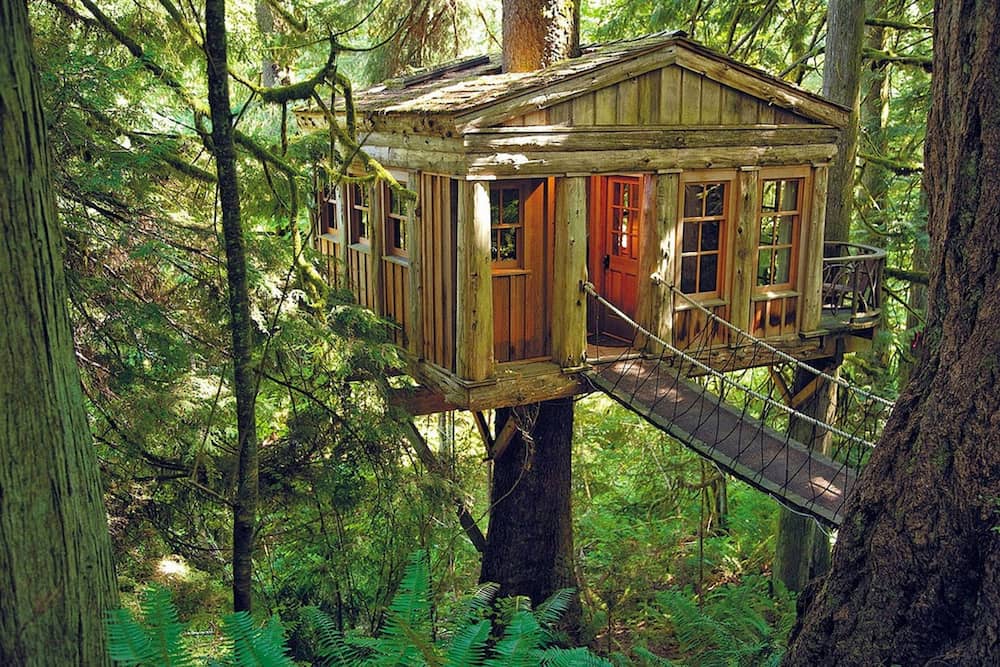casa en arbol florida