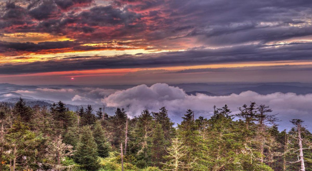 Descubra las maravillas de la naturaleza en el Parque Nacional Great