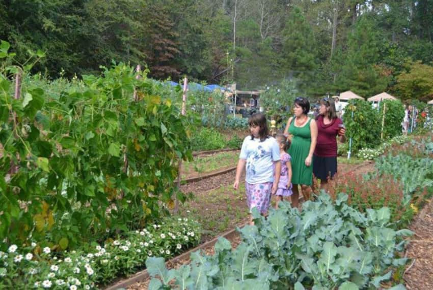 11 mejores ferias de otono en Georgia