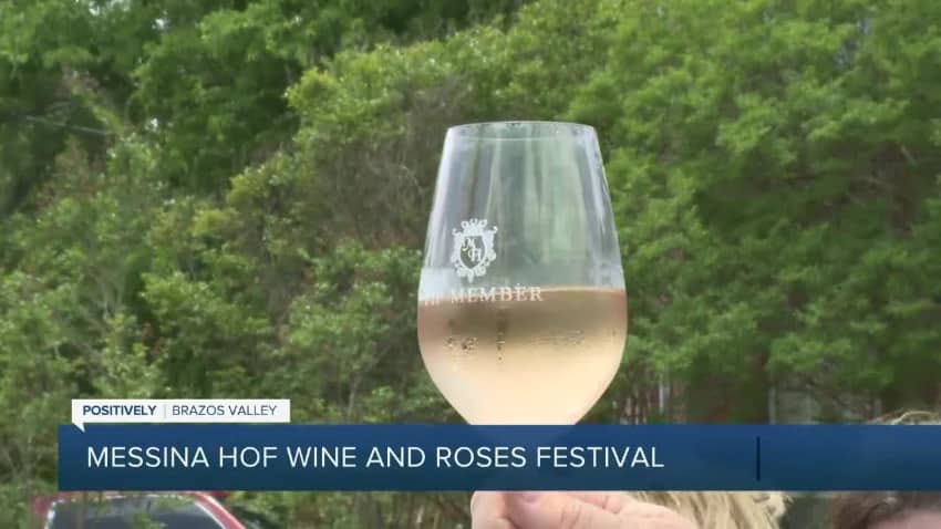 Mejores cosas que hacer en Texas Festival de la Cosecha de la Bodega Messina Hof