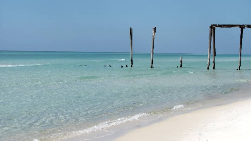 Camp Helen State Park mejores lugares de florida