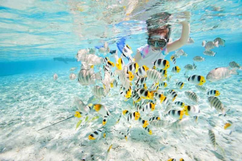 Los mejores lugares para BUCEAR y hacer SNORKEL en el sudeste asiático 8 Koh Rong Camboya