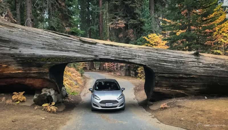 Parque Nacional de Sequoia