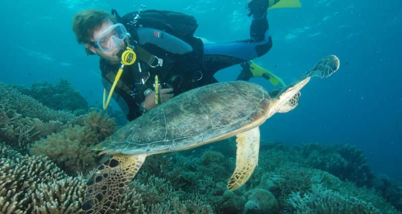 Los mejores lugares para BUCEAR y hacer SNORKEL en el sudeste asiático 5 Phu Quoc Vietnam mejores lugares bucear