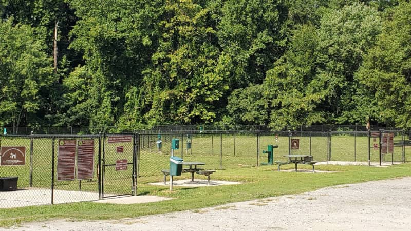 burguer park mejores parque perros georgia