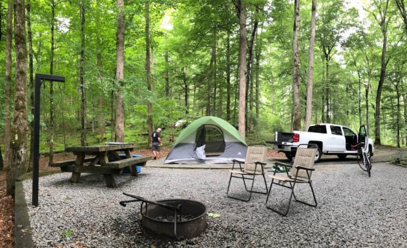 davidson river camping mejores lugares acampar carolina norte