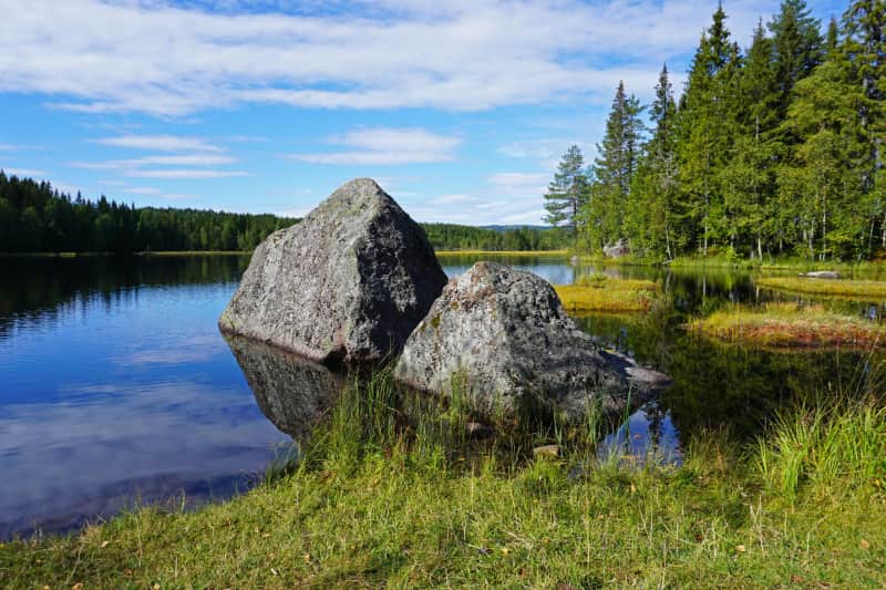 nordmarka mejores cosas que hacer en oslo