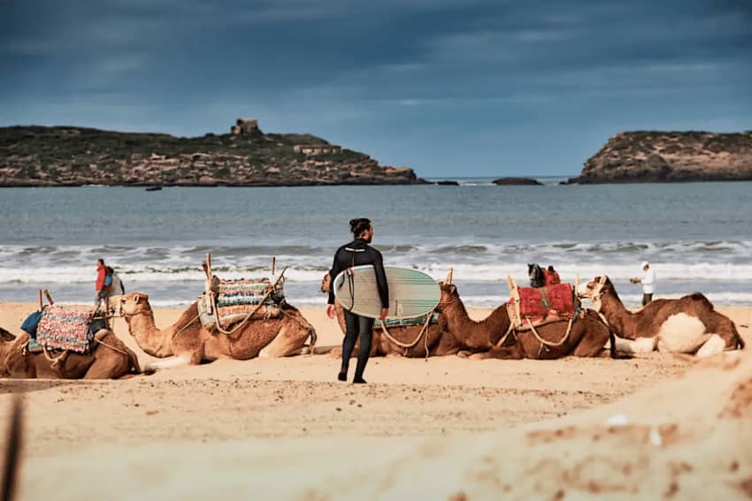 essaouira activities