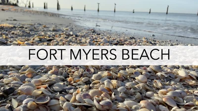 FORT MYERS BEACH RECOLECTAR CONCHAS