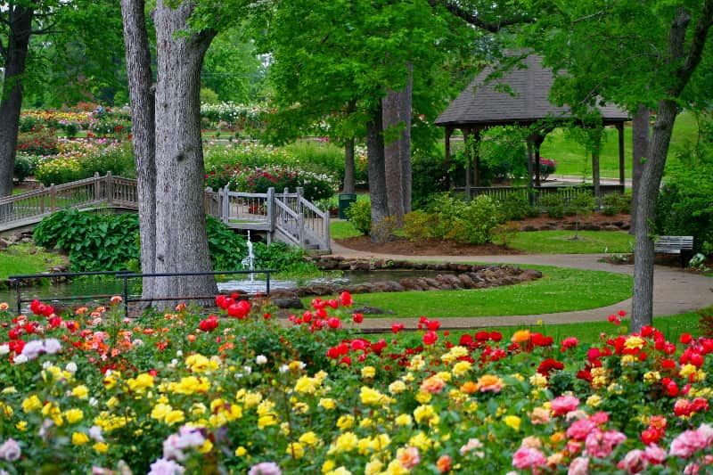 el jardin de rosas mas grande de Estados Unidos en Tyler Texas