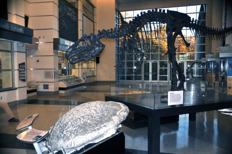 museo ciencias richmond virginia que vert