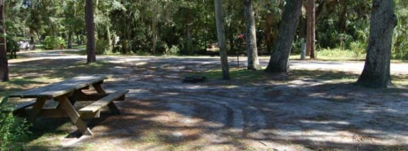 picnic Hillsborough River State Park
