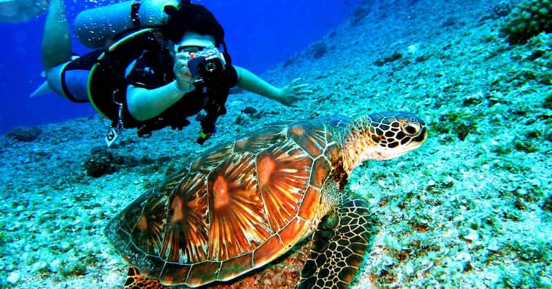 Los mejores lugares para BUCEAR y hacer SNORKEL en el sudeste asiático 7 Discover Scuba Diving Experience in Perhentian Island donde bucear