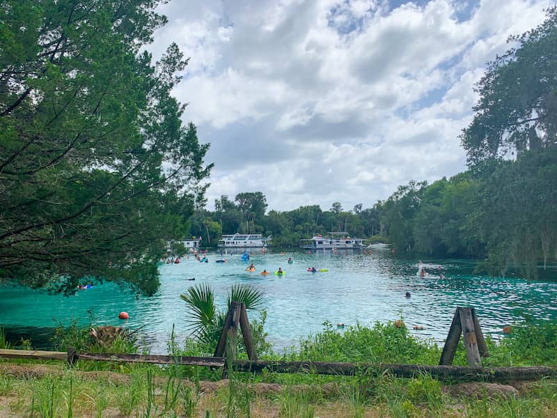 Donde darse un CHAPUZON en FLORIDA Silver Glen Springs