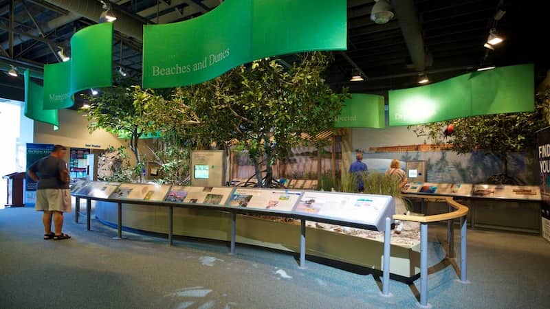 Florida Keys Eco Discovery Center que hacer en familia en los cayos de florida