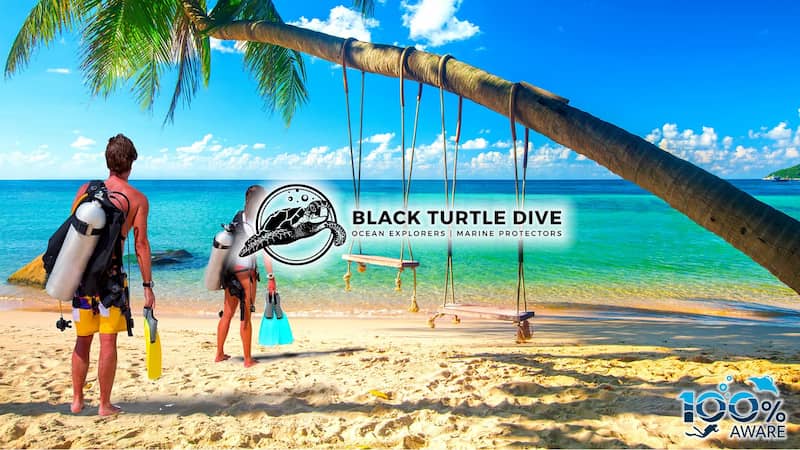 Los mejores lugares para BUCEAR y hacer SNORKEL en el sudeste asiático 9 Koh Tao Tailandia mejores lugares bucear