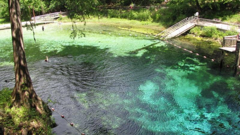 Parque estatal Fanning Springs Fanning Springs donde banarse en florida