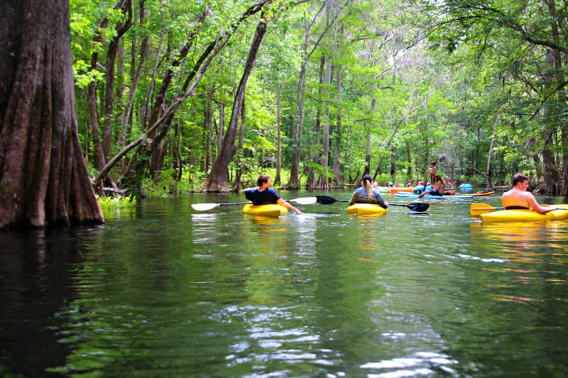 Parque estatal Ichetucknee Springs Fort Wight donde darse un chapuzon en florida