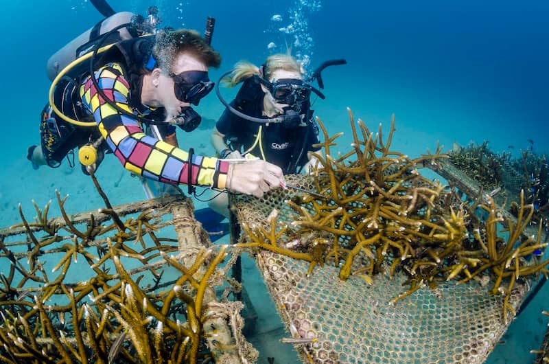 Los mejores lugares para BUCEAR y hacer SNORKEL en el sudeste asiático 1 koh nang yuan tailandia Los mejores lugares para bucear en el sudeste asiatico