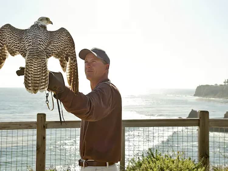 Estos son los MEJORES HOTELES y RESORTS del mundo para FAMILIAS con ADOLESCENTES 8 terranea resort falcon mejoes hoteles adolescentes