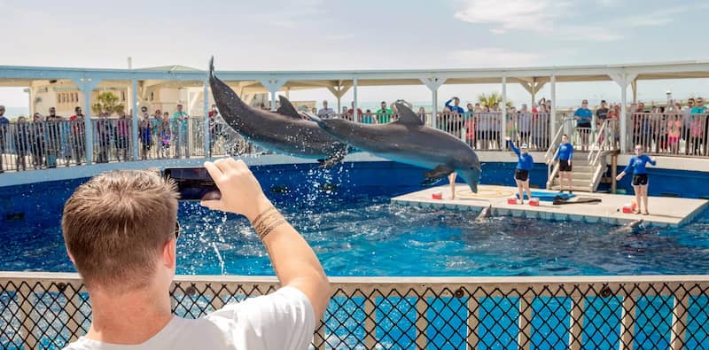 Gulfarium Marinea Adventura Park Que VER Y HACER en DESTIN Florida las 12 mejores cosas para hacer