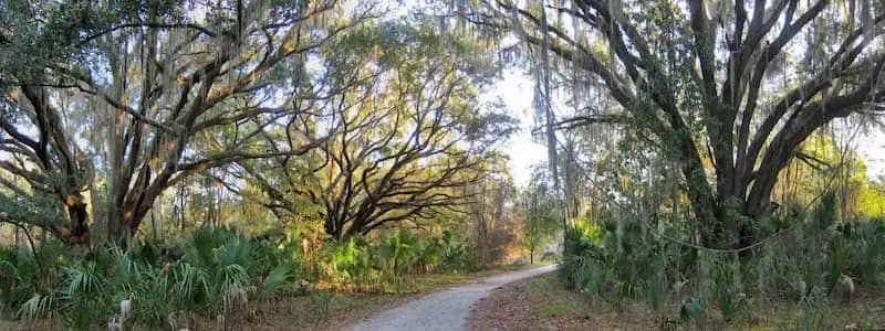 Paines Prairie Mikanope mejores lugares acamaar florida