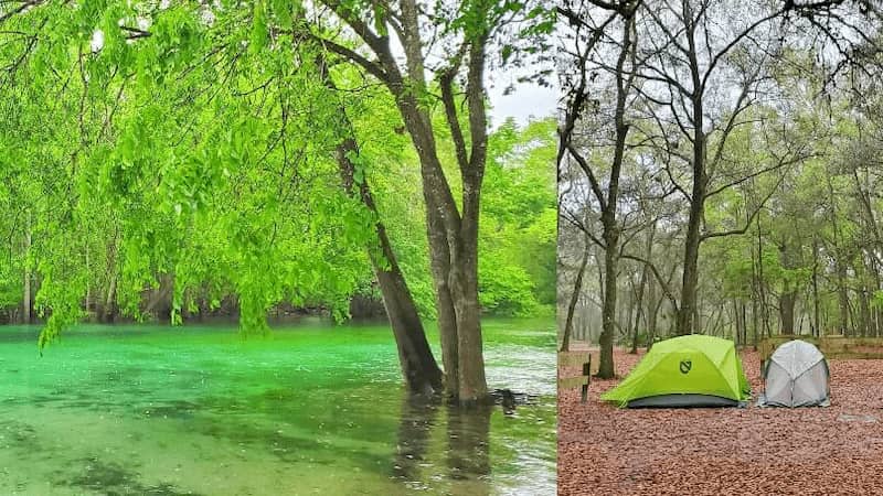 Parque Estatal Blue Springs Orange City donde acampar en florida