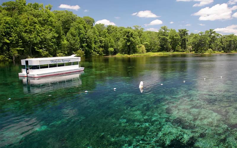 Parque estatal Edward Ball Wakulla Springs Crawfordville chapuzon nadar verano florida