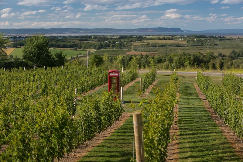 Que VER y HACER en NUEVA ESCOCIA, Canada: las mejores actividades 9 Que VER y HACER en NUEVA ESCOCIA Canada las mejores actividades Luckett Vineyards Gaspereau Valley Nova Scotia Canada