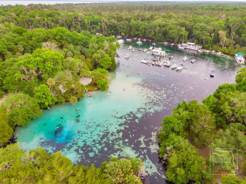 Silver Glen Springs Bosque Nacional de Ocala mejores lugares nadar frefrescarse verano florida