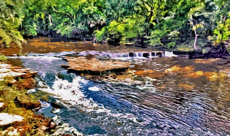 Cascadas Steinhatchee Steinhatchee que ver florida