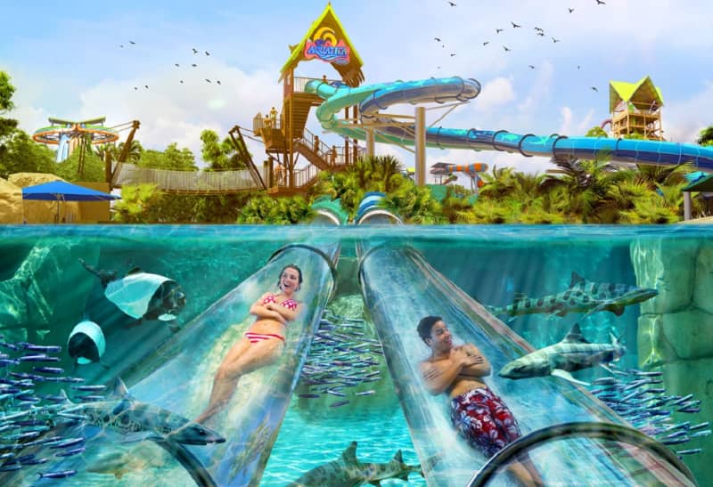 Dolphin Plunge Aquatica Orlando toboganes parques acuaticos florida