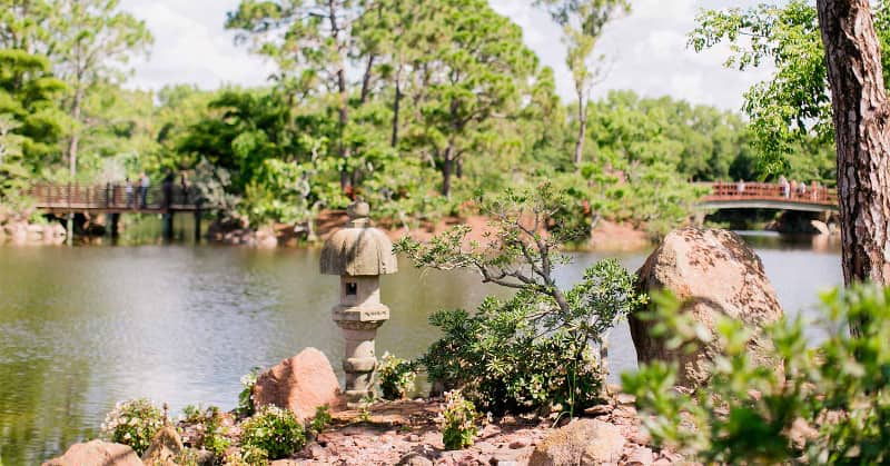 Estas son las 7 CASCADAS mas BELLAS de FLORIDA Jardines japoneses Morikami Delray Beach