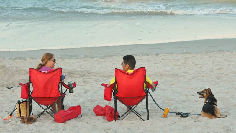 Estas son las MEJORES PLAYAS para MASCOTAS de FLORIDA CANOVA DOG BEACH