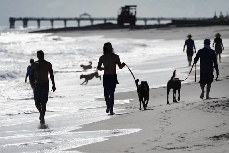 Estas son las MEJORES PLAYAS para MASCOTAS de FLORIDA JUNEAU BEACH