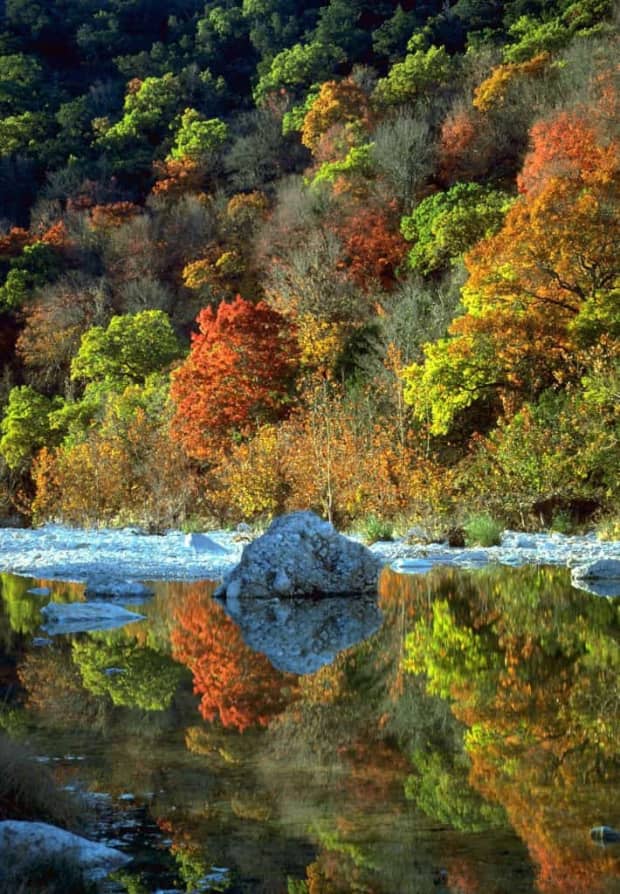 Lost Maples State Park Estos son lo 7 MEJORES lugares ECONOMICOS de TEXAS para ir de VACACIONES en OTONO