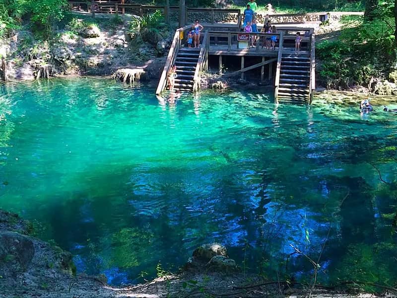 Parque Estatal Madison Blue Springs Lee mejores lugares para nadar en florida