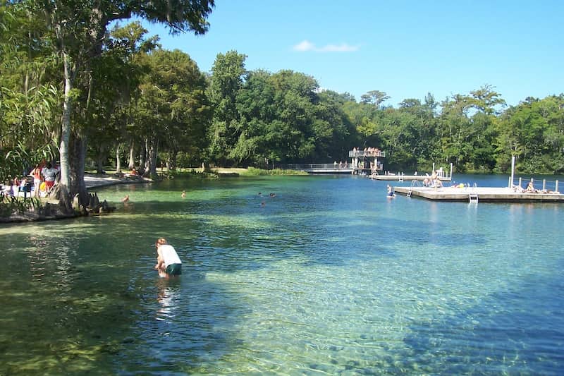 Parque estatal Edward Ball Wakulla Springs Crawfordville donde banarte