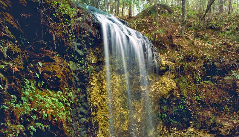Parque estatal Falling Waters Chipley cascadas florida