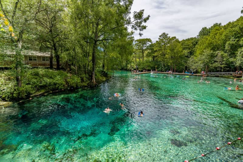 Parque estatal Fanning Springs Fanning Springs que hacer en florida