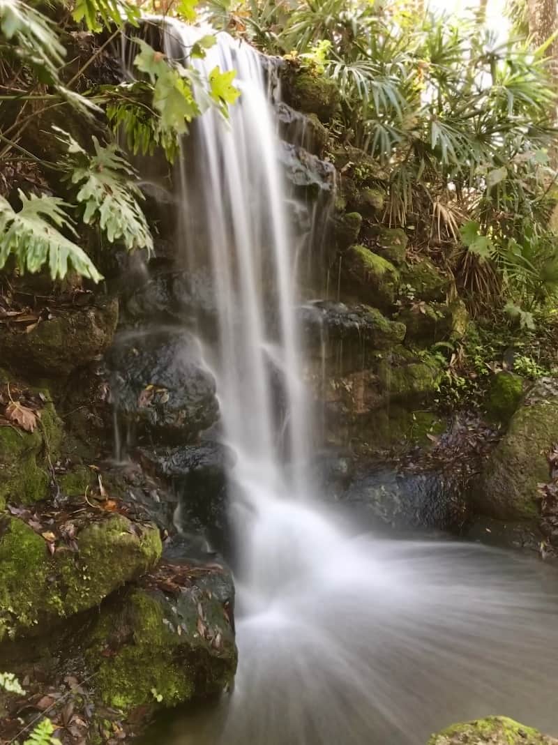 Rainbow Springs Dunnellon que ver en florida cascadas