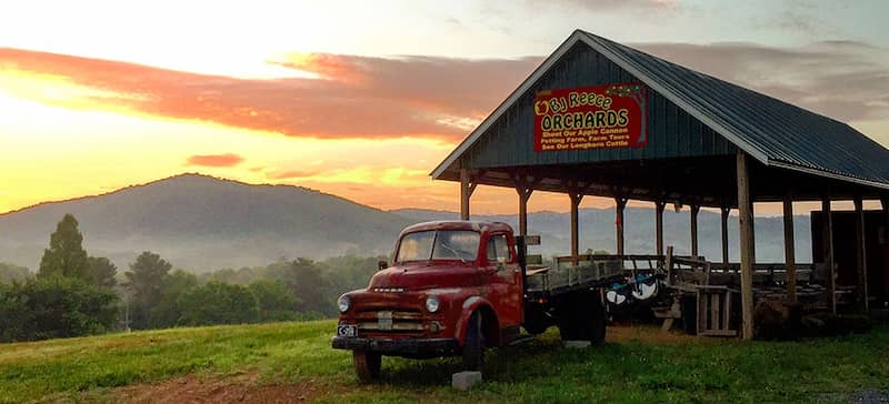 Red Apple Barn Ellijay MEJORES GRANJAS DE GEORGIA PARA RECOGER MANZANAS