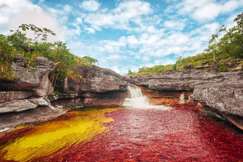 Rio Cano Cristales Parque Nacional Serrania de la Macarena Colombia maravillas naturales delmundo