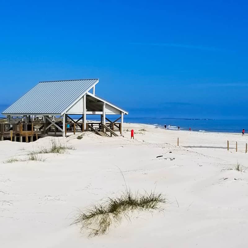 StGeorge island mejores playas mascotas florida