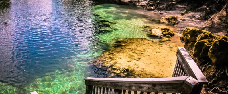 Troy Spring State Park mejores lugares banarse florida