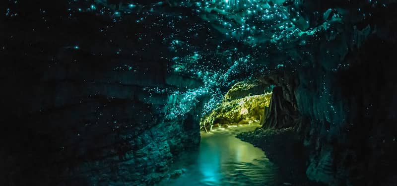 Waitomo Firefly Caves Isla del Norte Nueva Zelanda 10 asombrosas maravillas naturales del mundo que vale la pena visitar