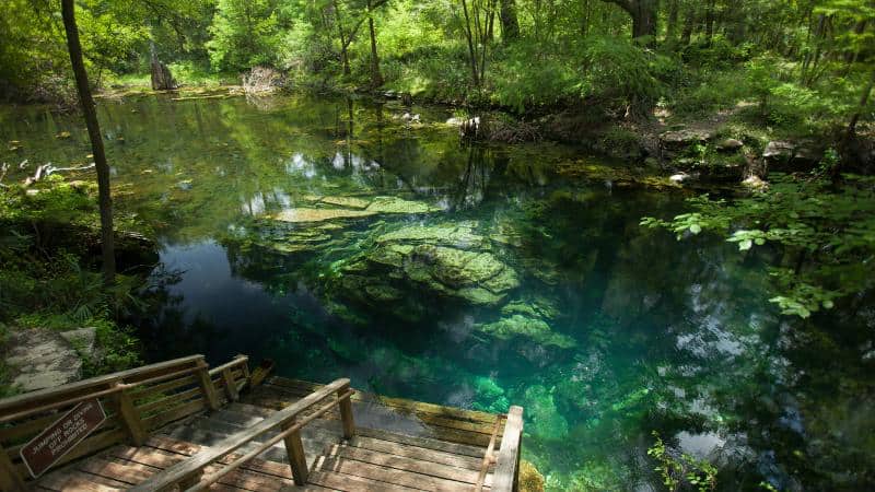 Wes Skills State Park Peacock Springs Live Oak manantiales florida