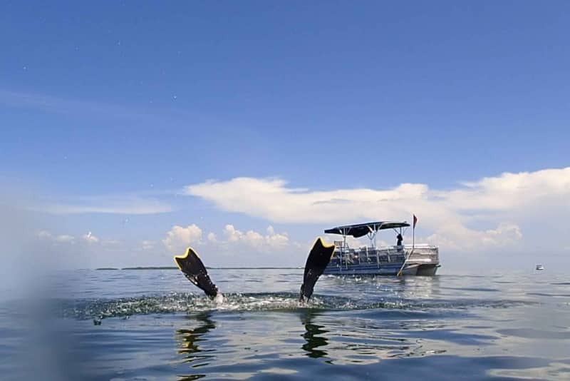ir de pesca en homosassa florida