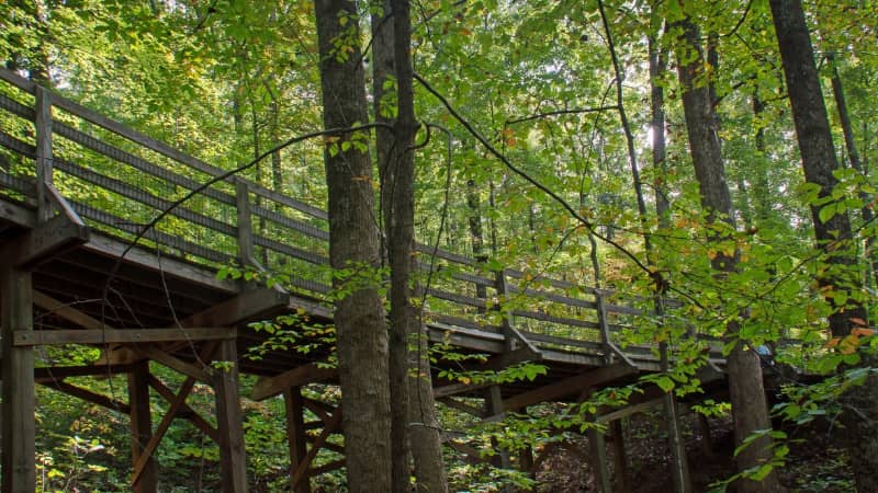 saunders monticello hacer excursion charlottesville